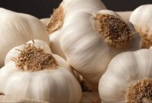 أسعار الخضروات، صادرات الثوم المصري