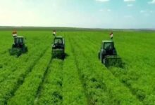 الدلتا الجديدة، أطلس للتنمية الزراعية