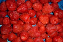 فرولة مجمدة