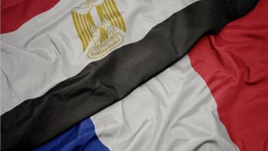 مصر وفرنسا، المنتجات الغذائية المصرية