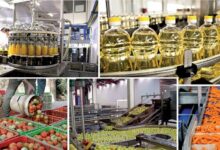 صناعات غذائية