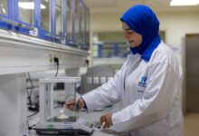الصناعات الغذائية، بطاطس