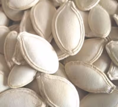 egyptian white pulp@550w.30153827