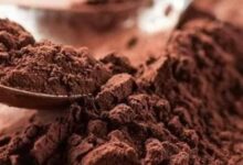 كاكاو ، أسعار الكاكاو