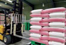 أسعار الدقيق