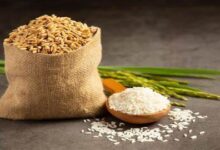 زكاة الفطر 2025