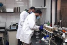 سلع غذائية، سلامة الغذاء