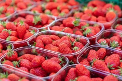 فتح السوق البرازيلية أمام صادرات مصر من شتلات الفراولة