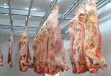 سلامة الغذاء، لحوم الأبقار