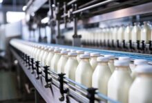 ترامب ، قمة ابتكارات الألبان الأفريقية