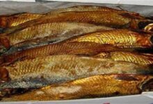 أسعار الرنجة