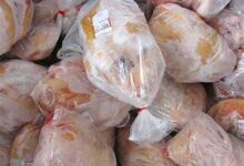 سعر الدواجن