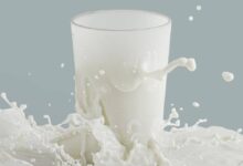 كيف يؤثر الحليب على مرضى ارتجاع المريء؟ إليك كل ما تحتاج معرفته