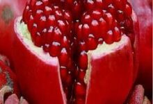 الرمان المنفلوطي