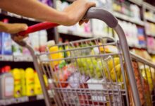 سلع غذائية، شعبة المستوردين