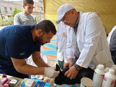 قوافل بيطرية مجانية