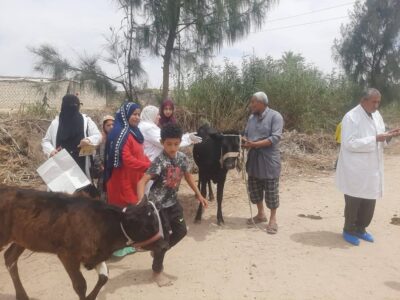 قوافل بيطرية مجانية