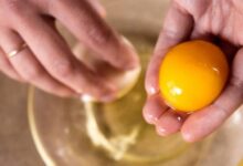 فوائد صفار البيض، بيض المائدة