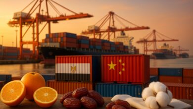 منتدى مصر – الصين 2025