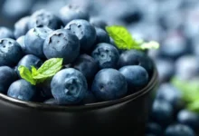 التوت الأزرق: الفاكهة السحرية لتعزيز الذاكرة وتقليل خطر الخرف