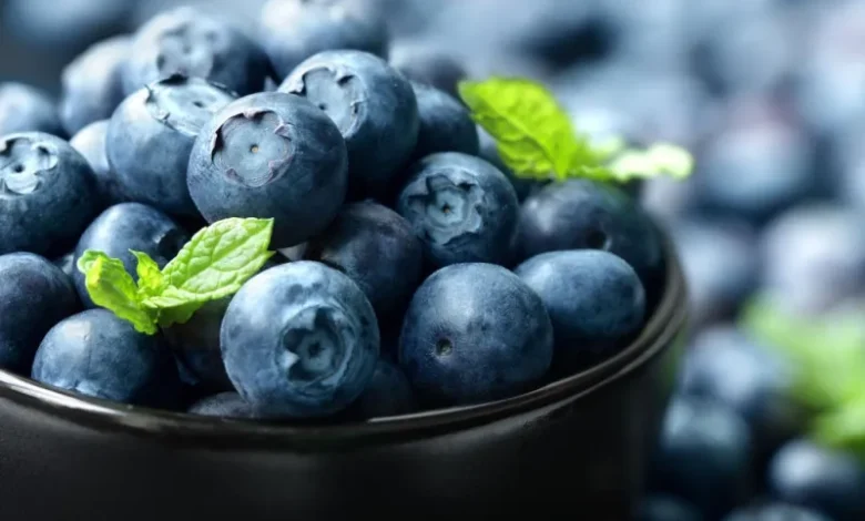 التوت الأزرق: الفاكهة السحرية لتعزيز الذاكرة وتقليل خطر الخرف