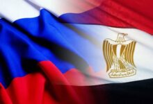 المنطقة الصناعية الروسية في مصر،نايل جاردن