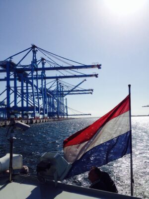 الصادرات الزراعية المصرية