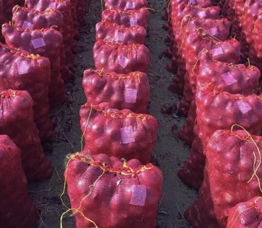 الأمن الغذائي