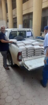 أسعار البيض