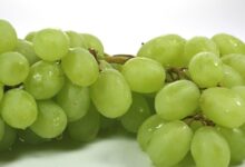 صادرات العنب الطومسون المصري تغزو الأسواق العالمية وخطط للتوسع