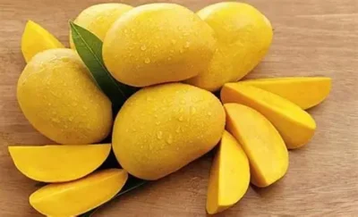 فرصة تصديرية