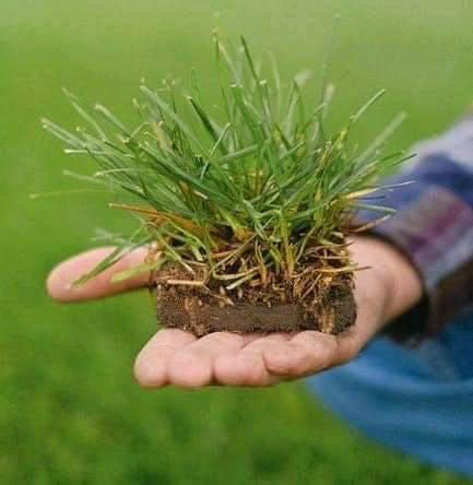 قفزة غير مسبوقة في استصلاح الأراضي بمصر.. من يقود المشهد الزراعي الجديد؟