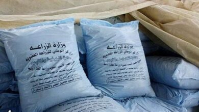 فرص تصديرية .. شركة سريلانكية تطلب 10 آلاف طن من اليوريا المصرية
