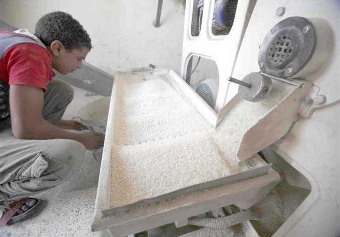 مضارب الأرز