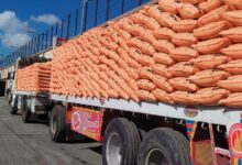 بشرى للمزارعين: مد صرف أسمدة الموسم الصيفي حتى 10 أكتوبر