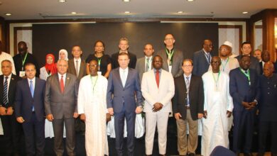 البحيرة في صدارة زراعة الأرز بمصر: طفرة في المساحات وتحضيرات للحصاد