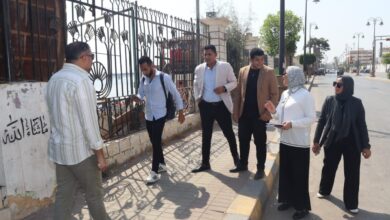 مهرجان النباتات الطبية والعطرية
