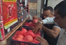 الرقابة على الصادرات