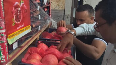 الرقابة على الصادرات