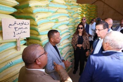 مصر الأولى عربيًا في إنتاج القمح بـ 10.2 ملايين طن عام 2026 4 إنتاج القمح