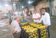 سلامة الغذاء