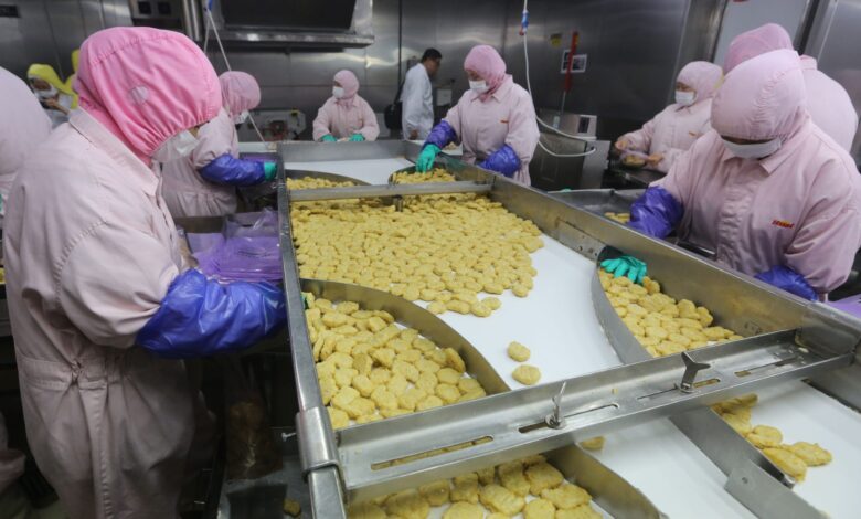 الصناعات الغذائية 