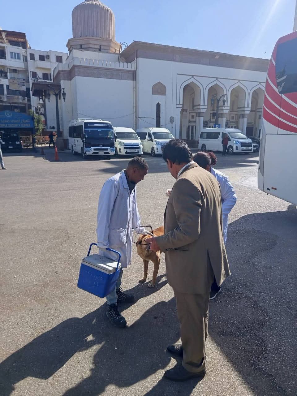 "الزراعة" تواصل جهود "التحصين والتعقيم"