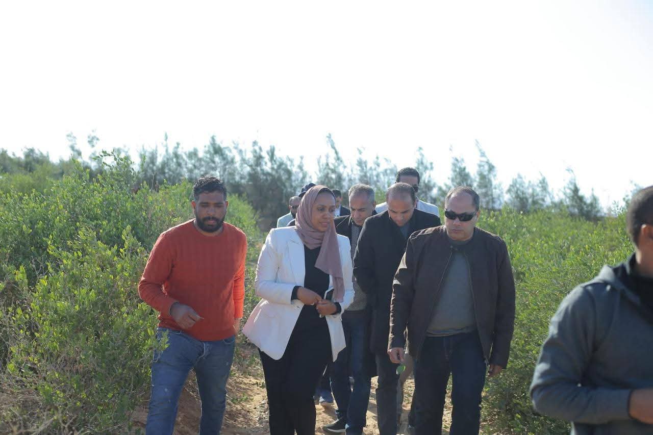 رئيس هيئة تنمية الصعيد يتفقد عملية حصاد محصول الجوجوبا في البحر الأحمر