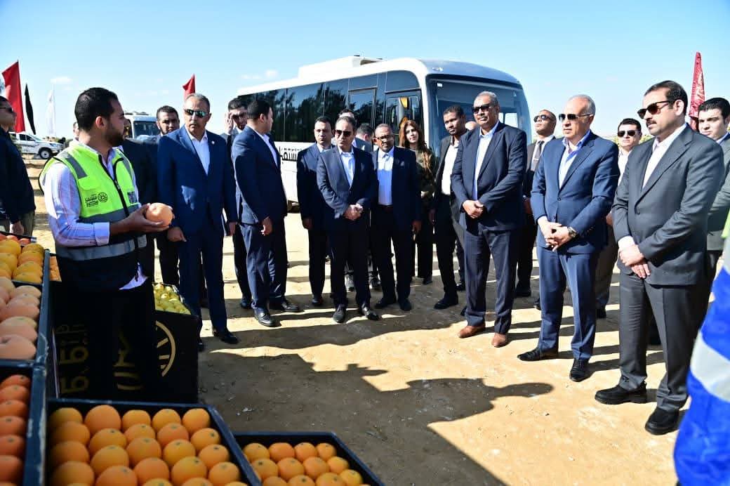 "جهاز مستقبل مصر ": دراسة تنفيذ مشروعات تنموية في السودان