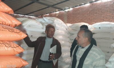 "الزراعة" تُكثف حملاتها الرقابية في 6 محافظات للتأكد من وصول الأسمدة المدعمة لمستحقيها