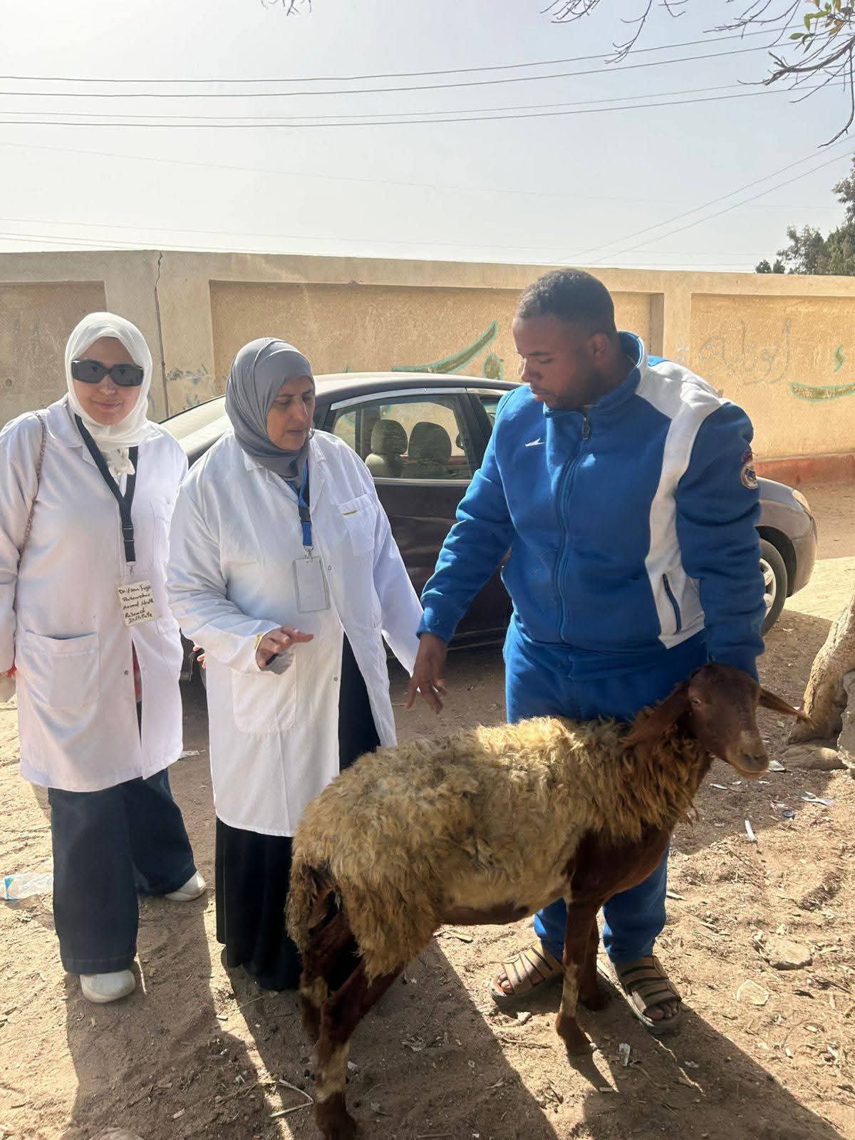 "الزراعة" تطلق أكبر قافلة خدمية إرشادية بحثية لدعم المزارعين والمربين بمحافظة الإسماعيلية 