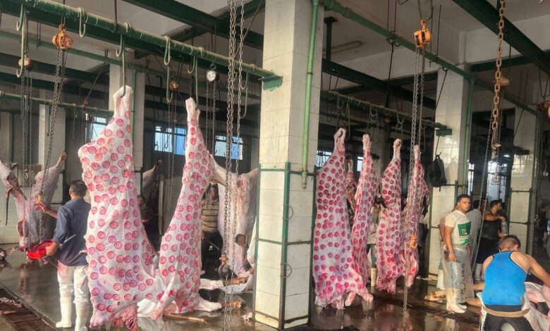 "الزراعة": المجازر الحكومية استقبلت 705 ألف رأس ماشية خلال النصف الثاني من 2025