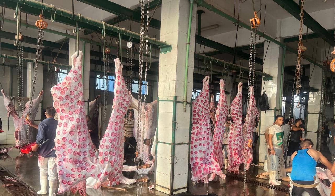 "الزراعة": المجازر الحكومية استقبلت 705 ألف رأس ماشية خلال النصف الثاني من 2025