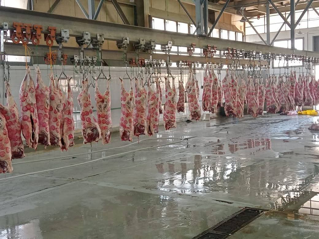 "الزراعة": المجازر الحكومية استقبلت 705 ألف رأس ماشية خلال النصف الثاني من 2025
